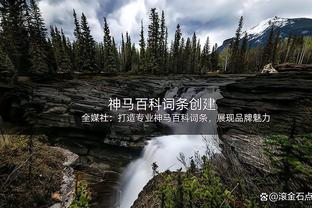 遭遇腹股沟拉伤！多诺万：武切维奇没有明确的复出时间表